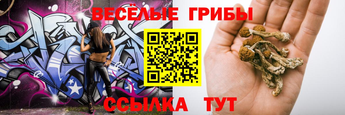 Галлюциногенные грибы прущие грибы Белгород