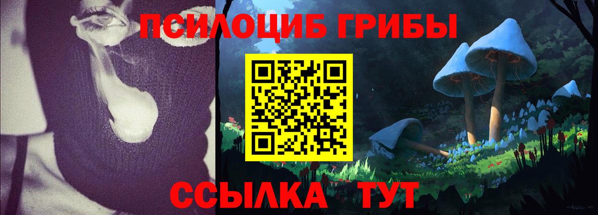 Белгород  Псилоцибиновые грибы Cubensis  Галлюциногенные грибы Psilocybine cubensis  Вход с VPN 